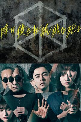 照子与瑠衣